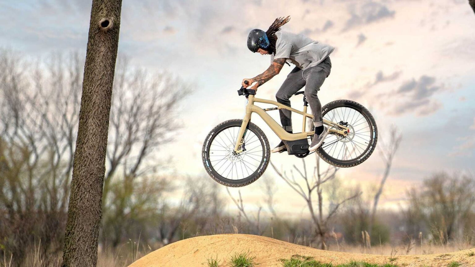 Harley-Davidson’s Serial 1 BASH/MTB : specifications, range and price