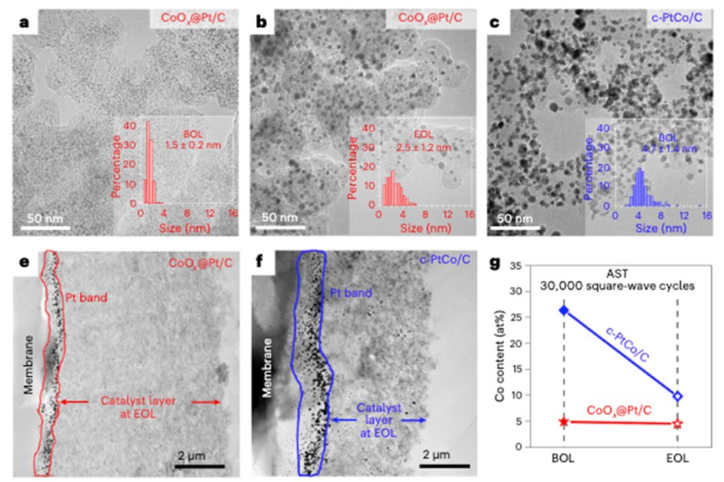 UCLA Study Advances Longevity of Proton-Exchange Membrane Fuel Cells