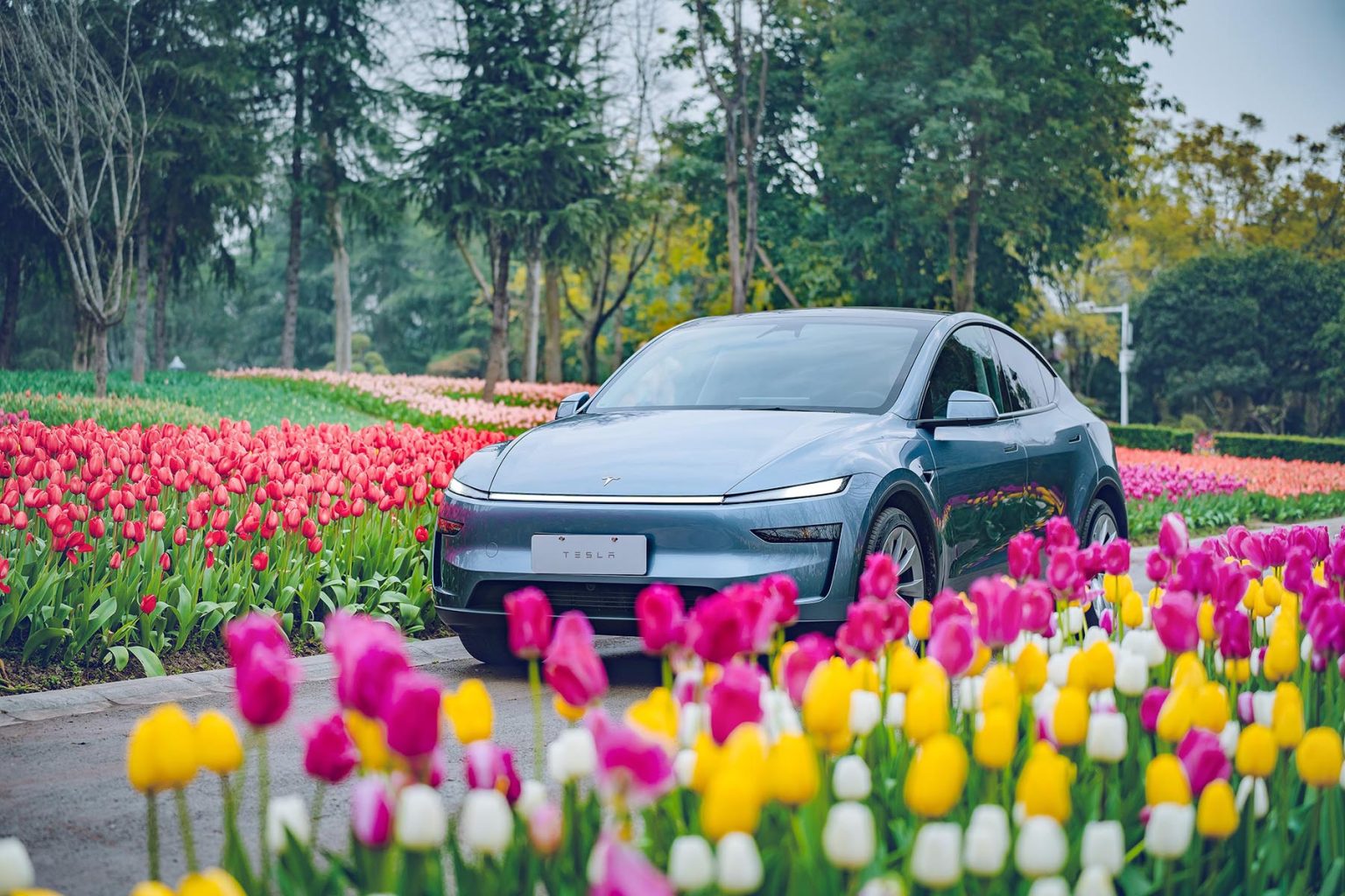 Tesla Asia