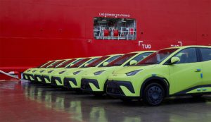 BYD Export