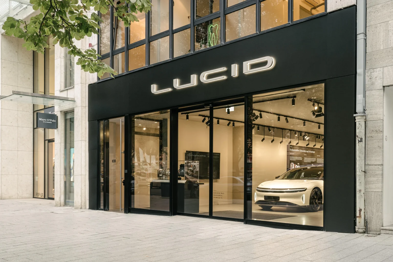 Lucid Logo Dealer