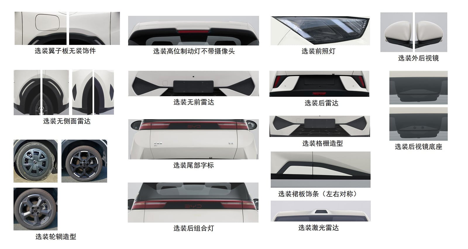 BYD Seagull