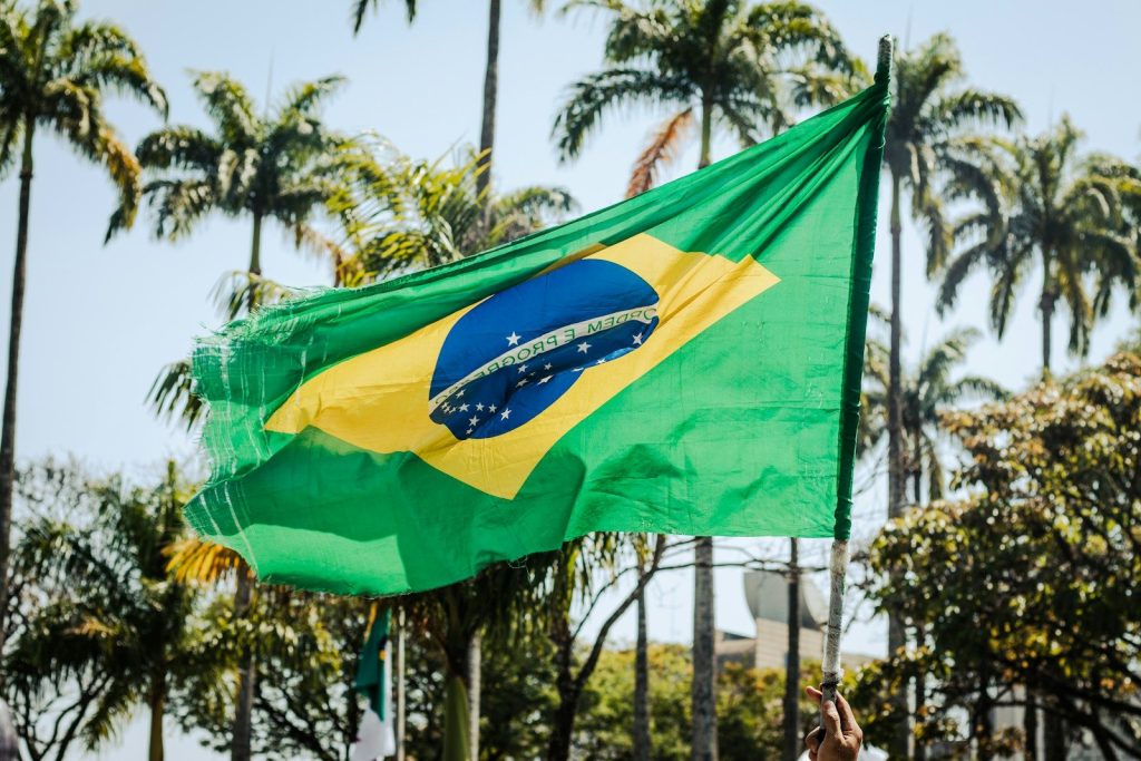 Brazil Approves Duty-Free EV Assembly Kit Imports Through End of 2026 a flag flying in the wind with palm trees in the background