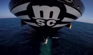 MSC Files Lawsuit Against CargoLoop Following Electric Vehicle Container Fire